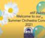 Orchestra Summer Sunset Concert