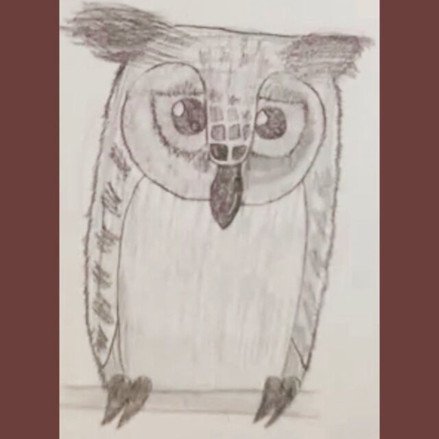 Last art session of the term with year five. Fabulous use of shading to create owls. 🦉🦉🦉